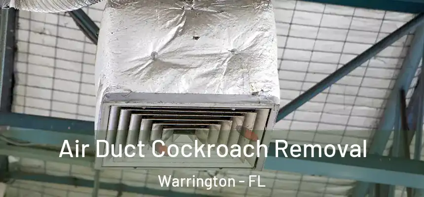 Air Duct Cockroach Removal Warrington - FL