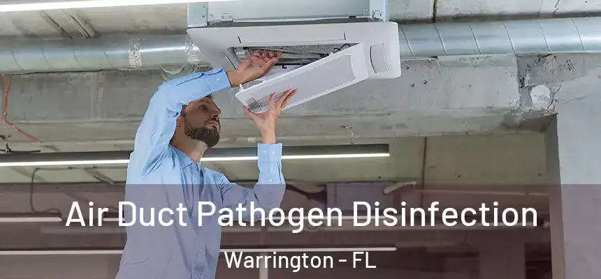 Air Duct Pathogen Disinfection Warrington - FL