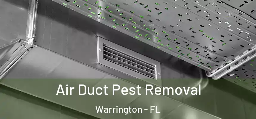 Air Duct Pest Removal Warrington - FL