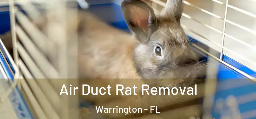 Air Duct Rat Removal Warrington - FL