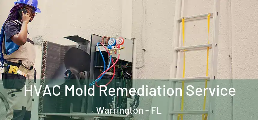  HVAC Mold Remediation Service Warrington - FL