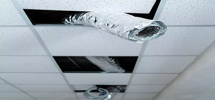 Our Air Duct Pet Hair Removal Services in Warrington, FL