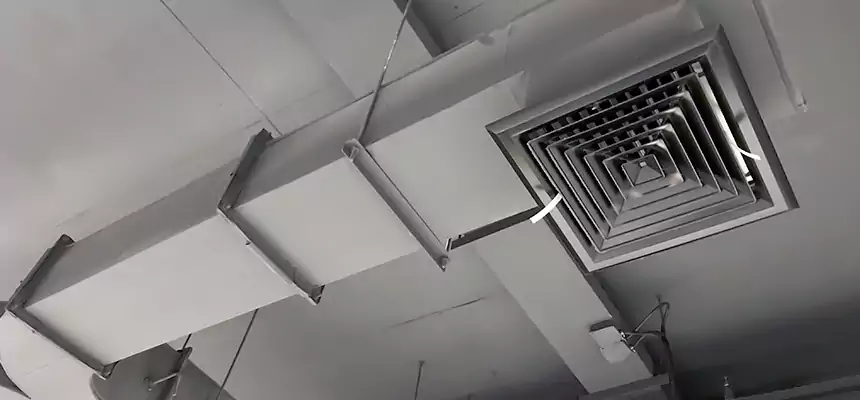 Restorative Allergy Relief Vent Cleaning – Coil, Blower & Housing Detail in Warrington