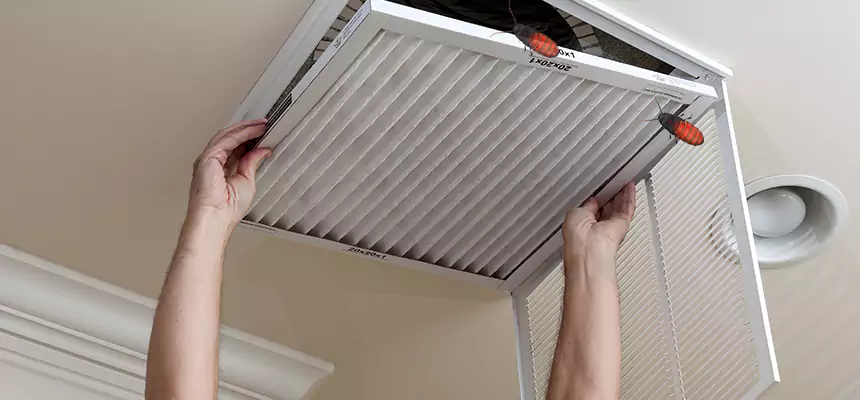 Our Insect Removal from Air Ducts Services in Warrington, FL