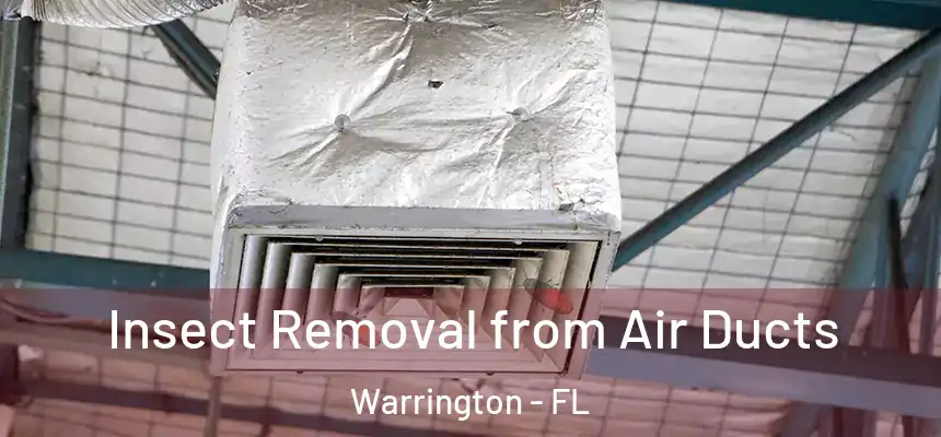 Insect Removal from Air Ducts Warrington - FL