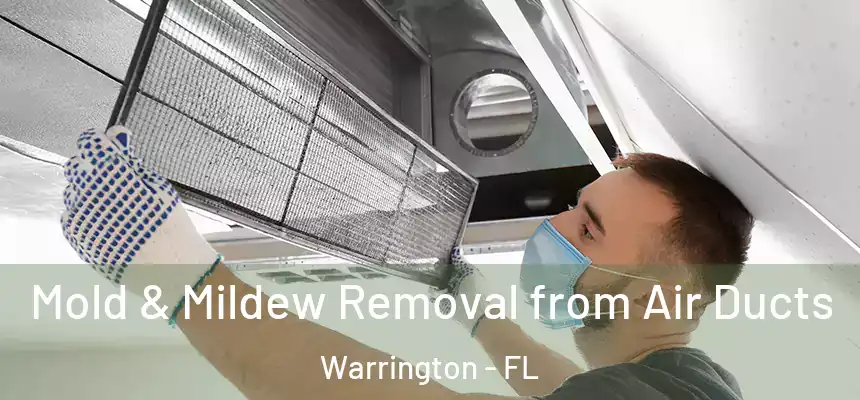 Mold & Mildew Removal from Air Ducts Warrington - FL