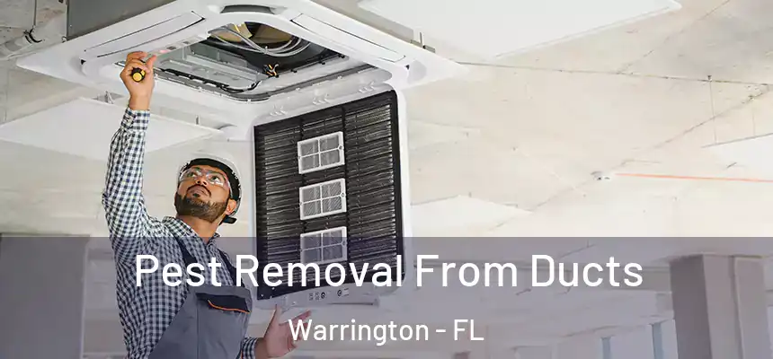 Pest Removal From Ducts Warrington - FL