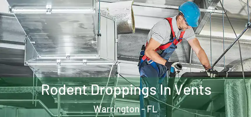 Rodent Droppings In Vents Warrington - FL