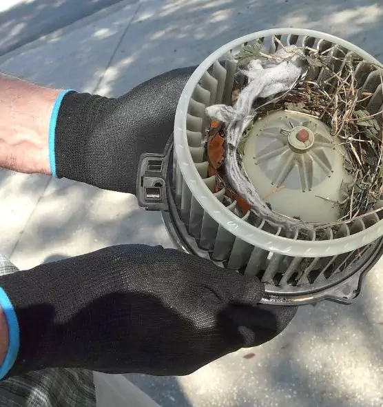 About Air Duct Mice Removal in Warrington, FL