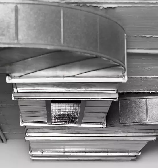 Professional Air Duct Pest Removal in Warrington, FL