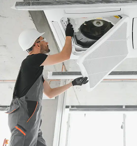 About Air Duct Rodent Removal in Warrington, FL