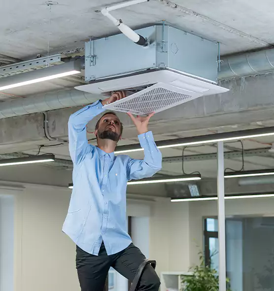 Advanced Rodent Droppings In Vents in Warrington, FL