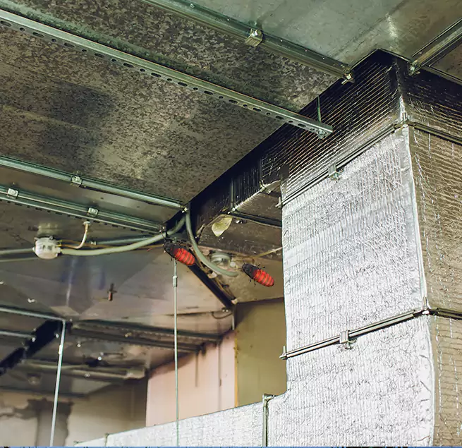 Why Homeowners & Businesses Trust Us in Warrington, FL?