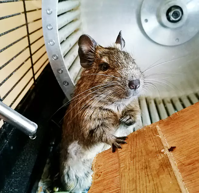 Why Homeowners & Businesses Trust Us Warrington, FL