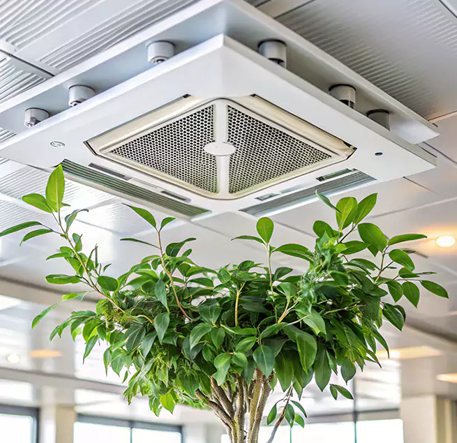 Why Homeowners & Businesses Trust Us in Warrington, FL?