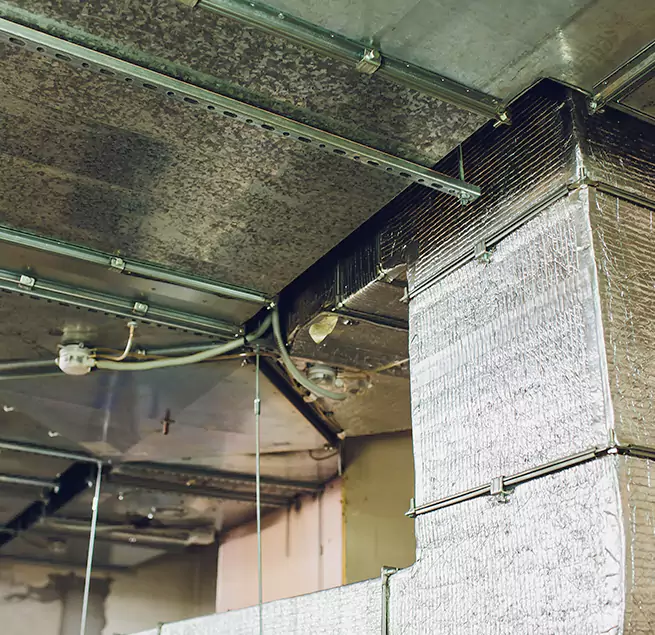 Why Homeowners & Businesses Trust Us in Warrington, FL?